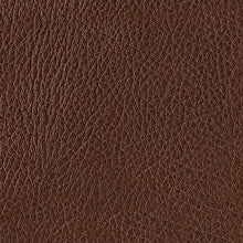 Load image into Gallery viewer, Brogliano - Sofa - Canyon