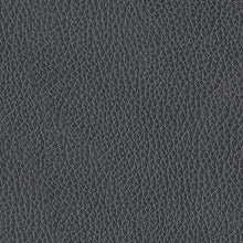 Load image into Gallery viewer, Next Move - Power Reclining Sofa With Adjustable Headrest