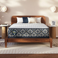 Load image into Gallery viewer, Perfect Sleeper - 13" Cascade Canyon Firm Mattress