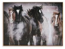 Load image into Gallery viewer, Chaseburn - Wall Art - Brown / Black / White