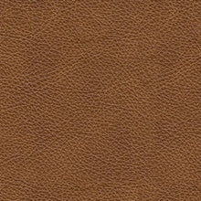 Load image into Gallery viewer, Carianna - Chair And A Half - Caramel