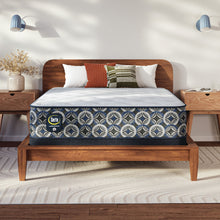 Load image into Gallery viewer, Perfect Sleeper - 12.5" Cascade Ridge Plush Mattress