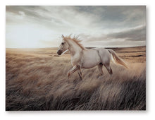 Load image into Gallery viewer, Errolville - Wall Art - Multi