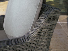 Load image into Gallery viewer, Elite Park - Swivel Lounge w/ Cushion - Gray