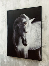 Load image into Gallery viewer, Archerwick - Wall Art - Black / White