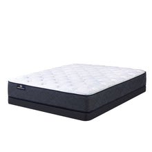 Load image into Gallery viewer, Perfect Sleeper - 10.5" Adoring Night Plush Mattress