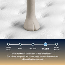 Load image into Gallery viewer, Perfect Sleeper - 14" Cascade Canyon Medium Pillow Top Mattress