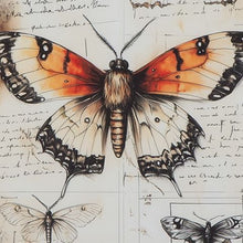 Load image into Gallery viewer, Jossletts - Wall Art Set (Set of 3) - Orange / Black / Ivory