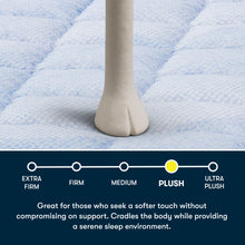 Load image into Gallery viewer, Perfect Day - 14" Plush Mattress in a Box