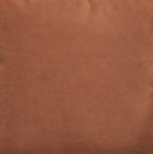Load image into Gallery viewer, Caygan - Throw Pillow