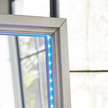 Load image into Gallery viewer, Evesen - Floor Standing Mirror With Storage - Champagne