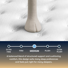 Load image into Gallery viewer, Perfect Sleeper - 13" Cascade Canyon Medium Mattress