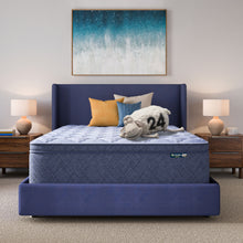 Load image into Gallery viewer, Perfect Day - 16" Plush Pillow Top Mattress in a Box