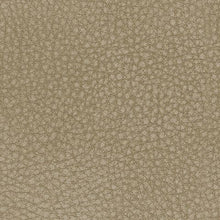 Load image into Gallery viewer, Next-Gen Durapella - Reclining Power Sofa