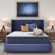 Load image into Gallery viewer, Five Star Mattress - Sleep to Go 12" Plush Pillow Top Mattress in a Box