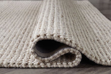 Load image into Gallery viewer, Jossick - Rug