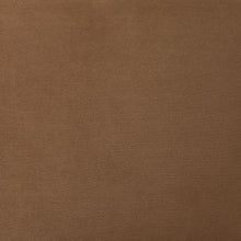 Load image into Gallery viewer, Caygan - Pillow