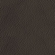 Load image into Gallery viewer, Luigi - Loveseat - Thunder