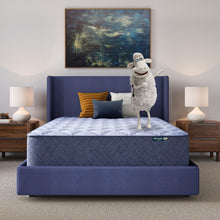 Load image into Gallery viewer, Perfect Day - 14" Plush Mattress in a Box