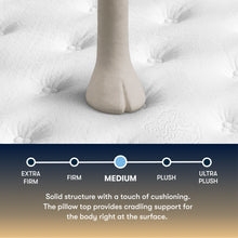 Load image into Gallery viewer, Perfect Sleeper - 14" Cascase Canyon Firm Pillow Top Mattress