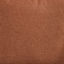 Load image into Gallery viewer, Caygan - Throw Pillow