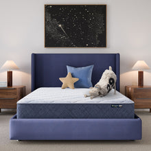 Load image into Gallery viewer, Five Star Mattress - Sleep to Go 10" Medium Mattress in a Box