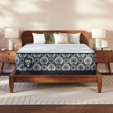 Load image into Gallery viewer, Perfect Sleeper - 13.5" Cascade Canyon Plush Mattress
