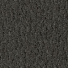 Load image into Gallery viewer, Revived and Restored - Power Lift Recliner
