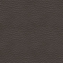 Load image into Gallery viewer, Fyne-dyme - Power Recliner/Adj Headrest