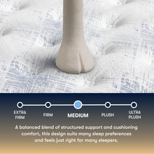 Load image into Gallery viewer, Perfect Sleeper - 14" Cascade Range Medium Mattress