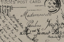 Load image into Gallery viewer, ACCENTS ACCENT CHAIR WITH OTTOMAN 900210