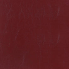 Load image into Gallery viewer, ACCENTS ACCENT CHAIR 902099