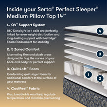 Load image into Gallery viewer, Perfect Sleeper - 14" Cascase Canyon Firm Pillow Top Mattress
