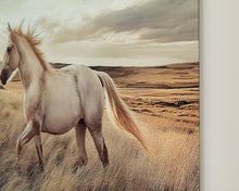 Load image into Gallery viewer, Errolville - Wall Art - Multi
