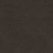 Load image into Gallery viewer, Femley - Rocker Recliner - Smoke
