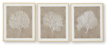 Load image into Gallery viewer, Hendridge - Wall Art Set (Set of 3) - Taupe / White
