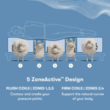 Load image into Gallery viewer, Perfect Sleeper - 14" X Prescott Hybrid Plush Mattress
