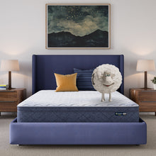 Load image into Gallery viewer, Five Star Mattress - Sleep to Go 10" Plush Pillow Top Mattress in a Box
