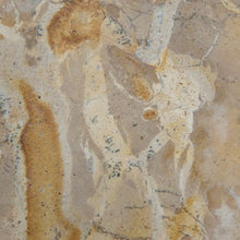 Load image into Gallery viewer, Edurton - Tray
