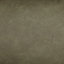 Load image into Gallery viewer, Danvale - Pillow
