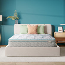 Load image into Gallery viewer, Soothing Nights - 12" Plush Pillow Top Mattress In A Box
