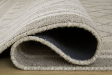 Load image into Gallery viewer, Wimney - Rug
