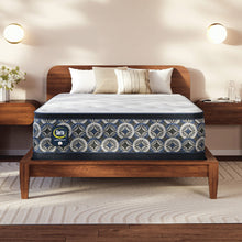 Load image into Gallery viewer, Perfect Sleeper - 14" Cascade Canyon Medium Pillow Top Mattress
