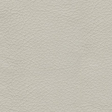 Load image into Gallery viewer, Mindanao - Pwr Recliner/Adj Headrest
