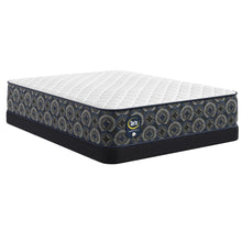 Load image into Gallery viewer, Perfect Sleeper - 13" Cascade Canyon Firm Mattress
