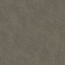 Load image into Gallery viewer, Starbot - Sectional
