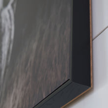 Load image into Gallery viewer, Harlandale - Wall Art - Black / White / Brown
