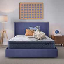 Load image into Gallery viewer, Perfect Day - 12" Serta Plush Pillow Top Mattress in a Box
