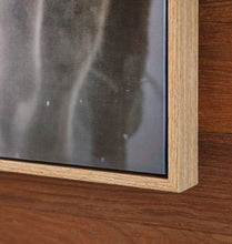 Load image into Gallery viewer, Chaseburn - Wall Art - Brown / Black / White
