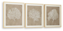 Load image into Gallery viewer, Hendridge - Wall Art Set (Set of 3) - Taupe / White
